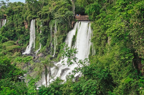 自然に囲まれたイグアスの滝と観光客の写真