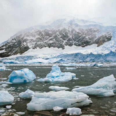 氷の壁と流氷の写真