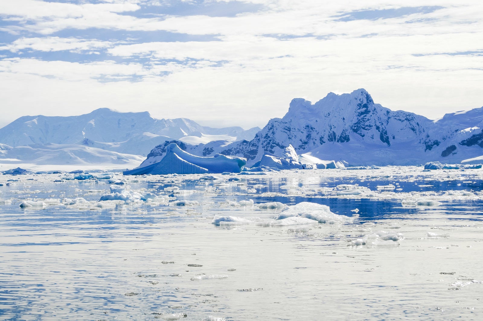 「無数に浮かぶ流氷（南極大陸）」の写真