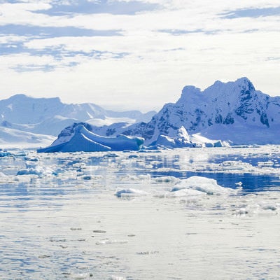 無数に浮かぶ流氷（南極大陸）の写真