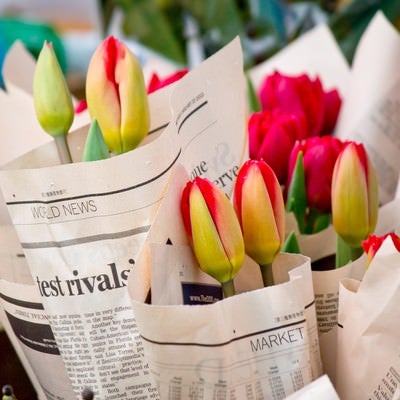 英文の新聞に包まれた花の写真