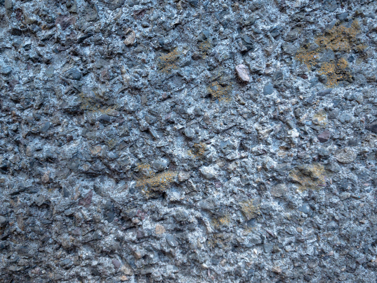 「土が残るコンクリート壁（テクスチャ）」の写真