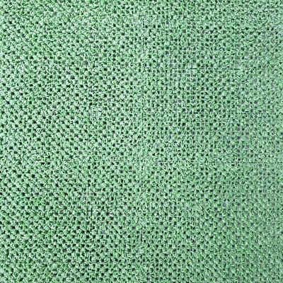 緑の泥落としマット（テクスチャー）の写真