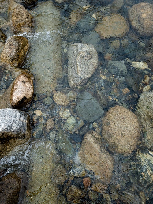 底の石ころが透き通る水面の写真