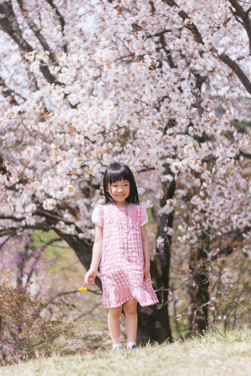 「桜の木と女の子」の写真［モデル：あんじゅ］