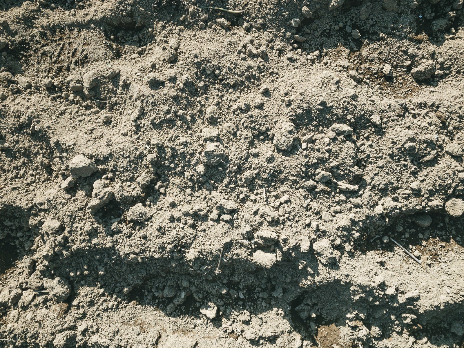 「表面が乾燥した地面に残る足跡（テクスチャー）」の写真