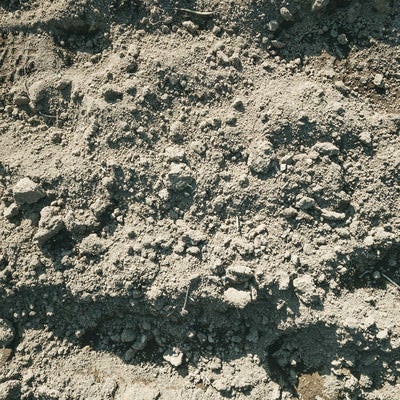 表面が乾燥した地面に残る足跡（テクスチャー）の写真