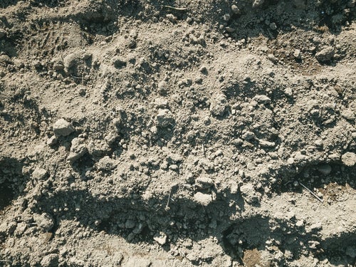 表面が乾燥した地面に残る足跡（テクスチャー）の写真