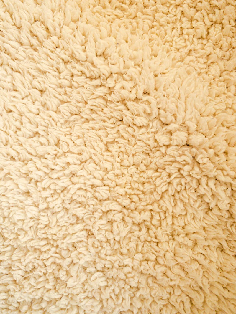 羊毛の様なモコモコ生地（テクスチャー）の写真