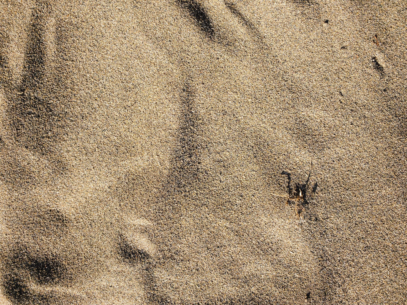 「川原の砂（テクスチャー）」の写真