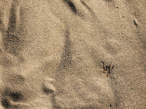 川原の砂（テクスチャー）の写真