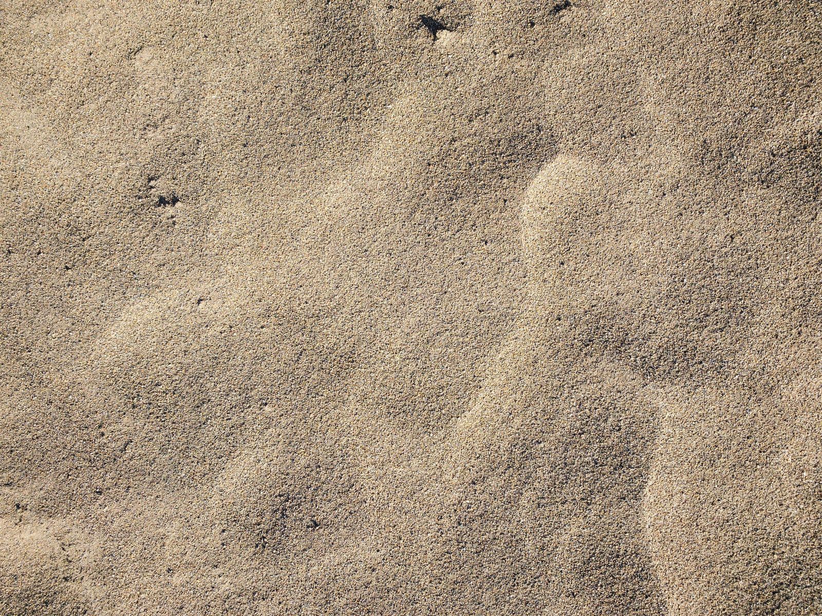 「砂の上にうっすらと残る風紋（テクスチャー）」の写真