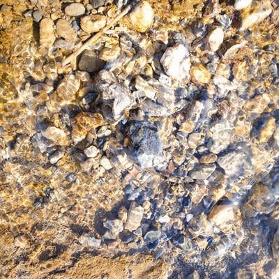 水底の藻と小石（テクスチャー）の写真