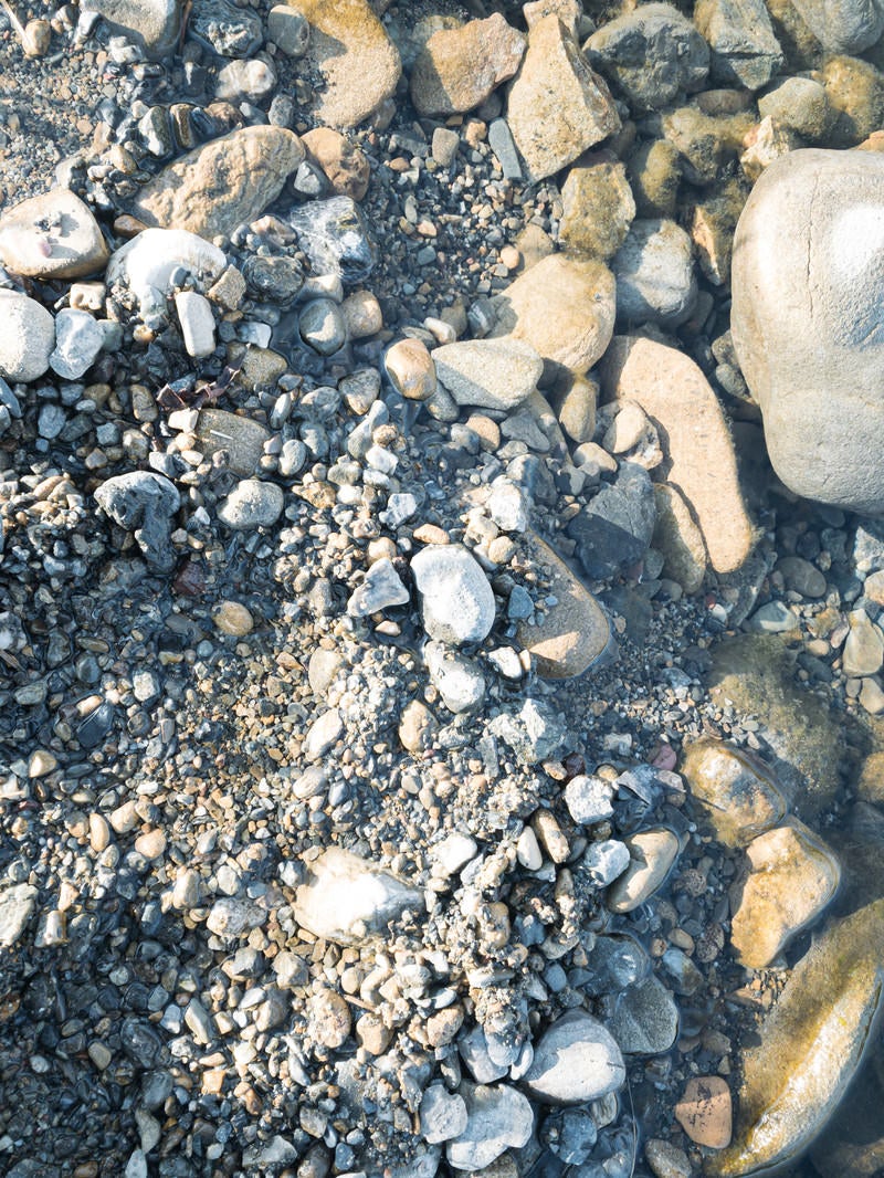 「砂にまみれた砂利と小石（テクスチャー）」の写真