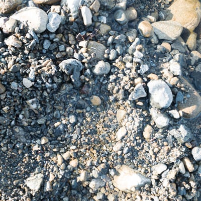 大きめの石を退かした跡の凹み（テクスチャー）の写真