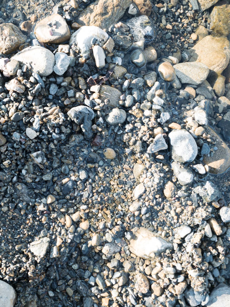 大きめの石を退かした跡の凹み（テクスチャー）の写真