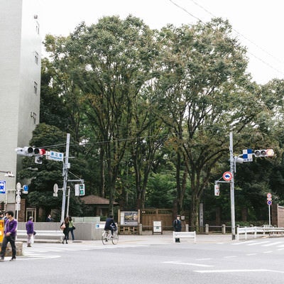 駒込（六義園前交差点）の写真