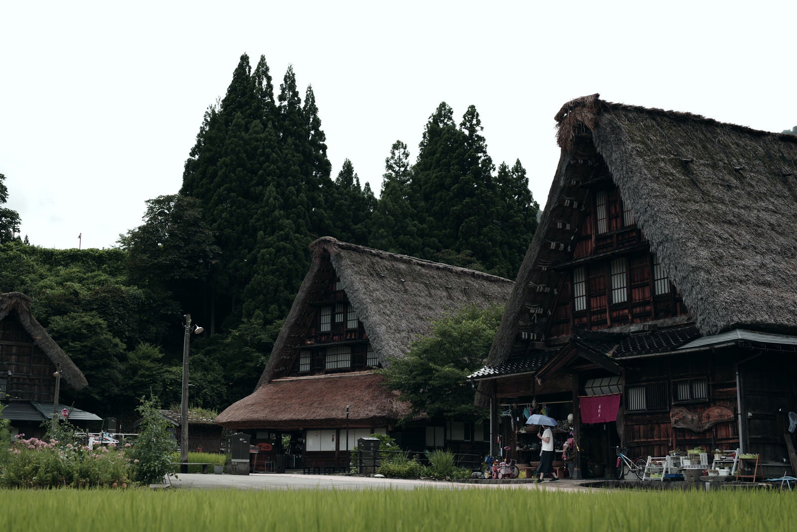 「菅沼集落の大きな三角の屋根がある合掌造りの家」の写真
