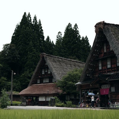 菅沼集落の大きな三角の屋根がある合掌造りの家の写真