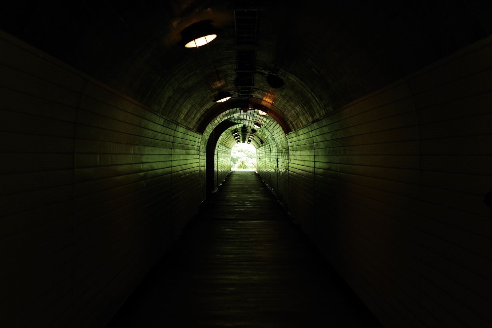 「菅沼集落へと続くトンネル」の写真