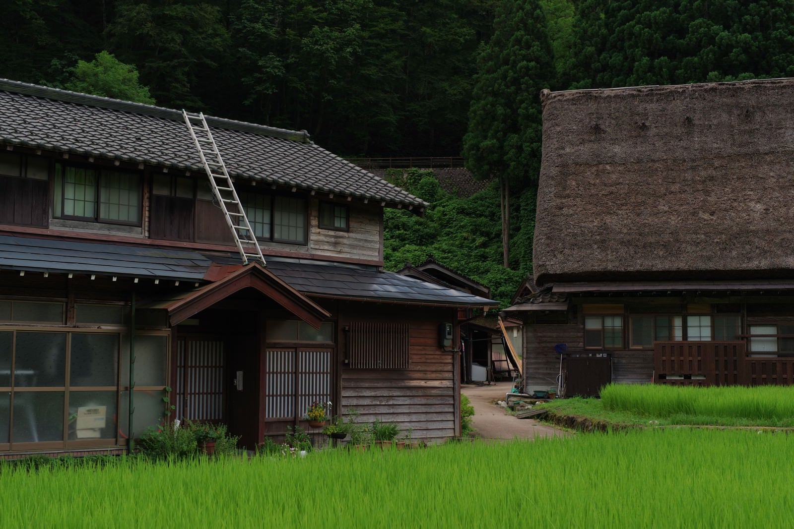 「菅沼集落の田んぼとのどかな風景」の写真