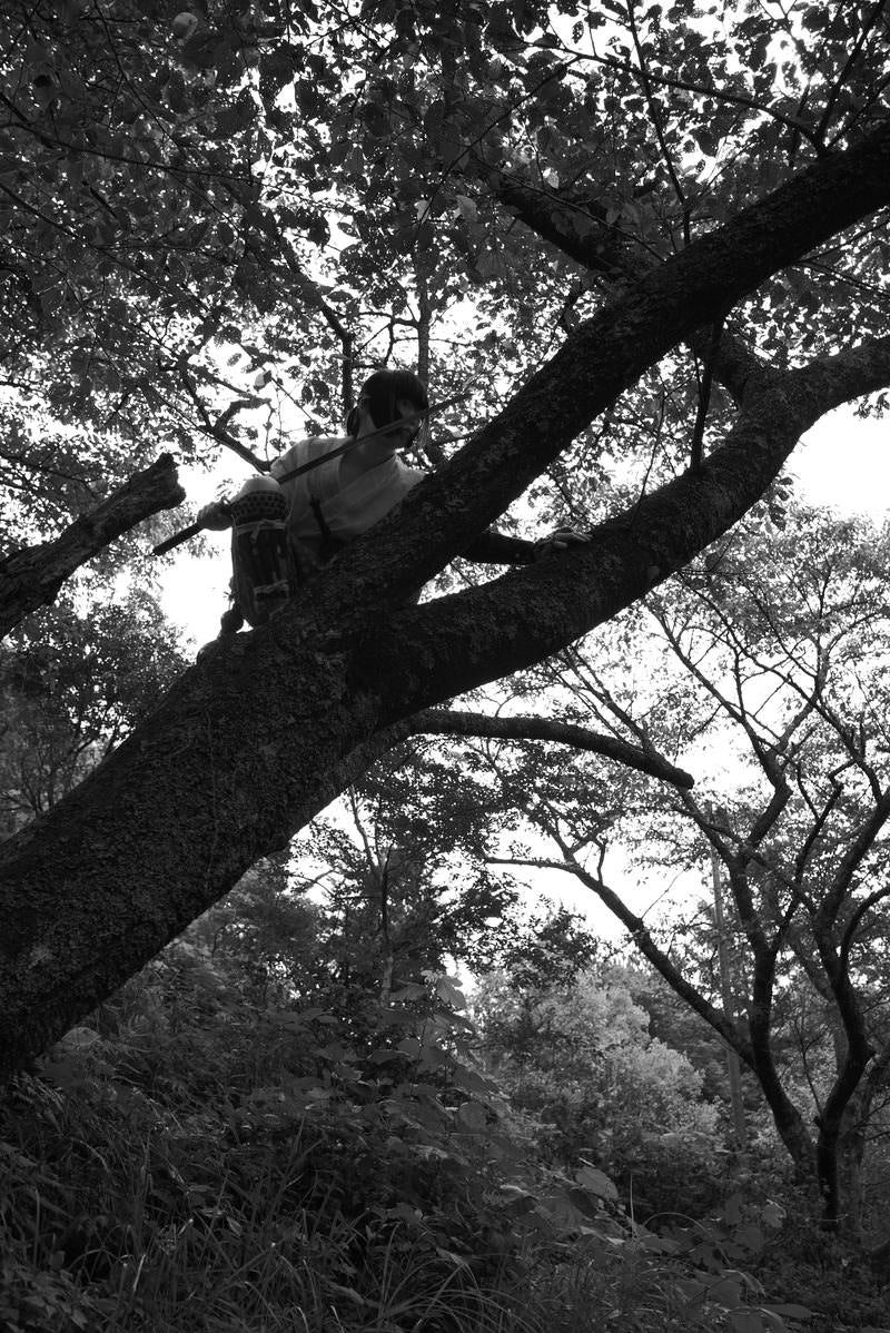 The Bandit Hunting Prey in the Trees