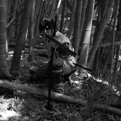 竹林から火縄銃で狙う半着の野盗の写真