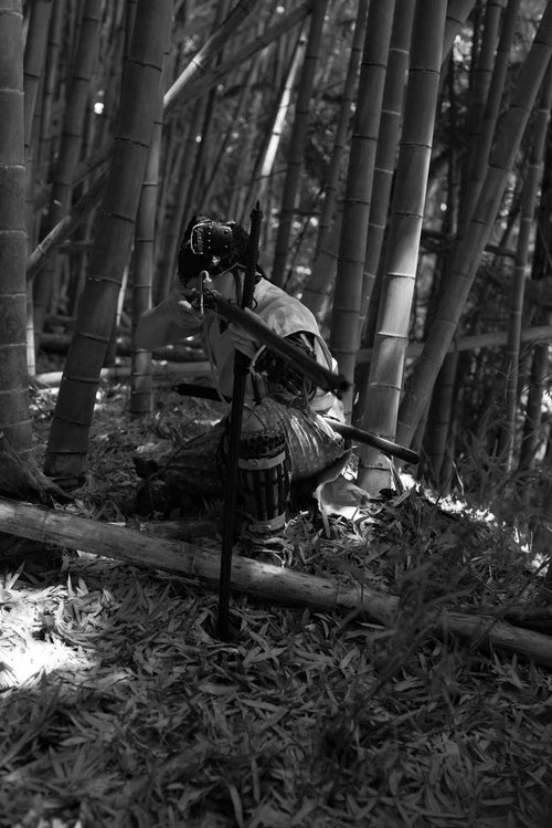 竹林から火縄銃で狙う半着の野盗の写真