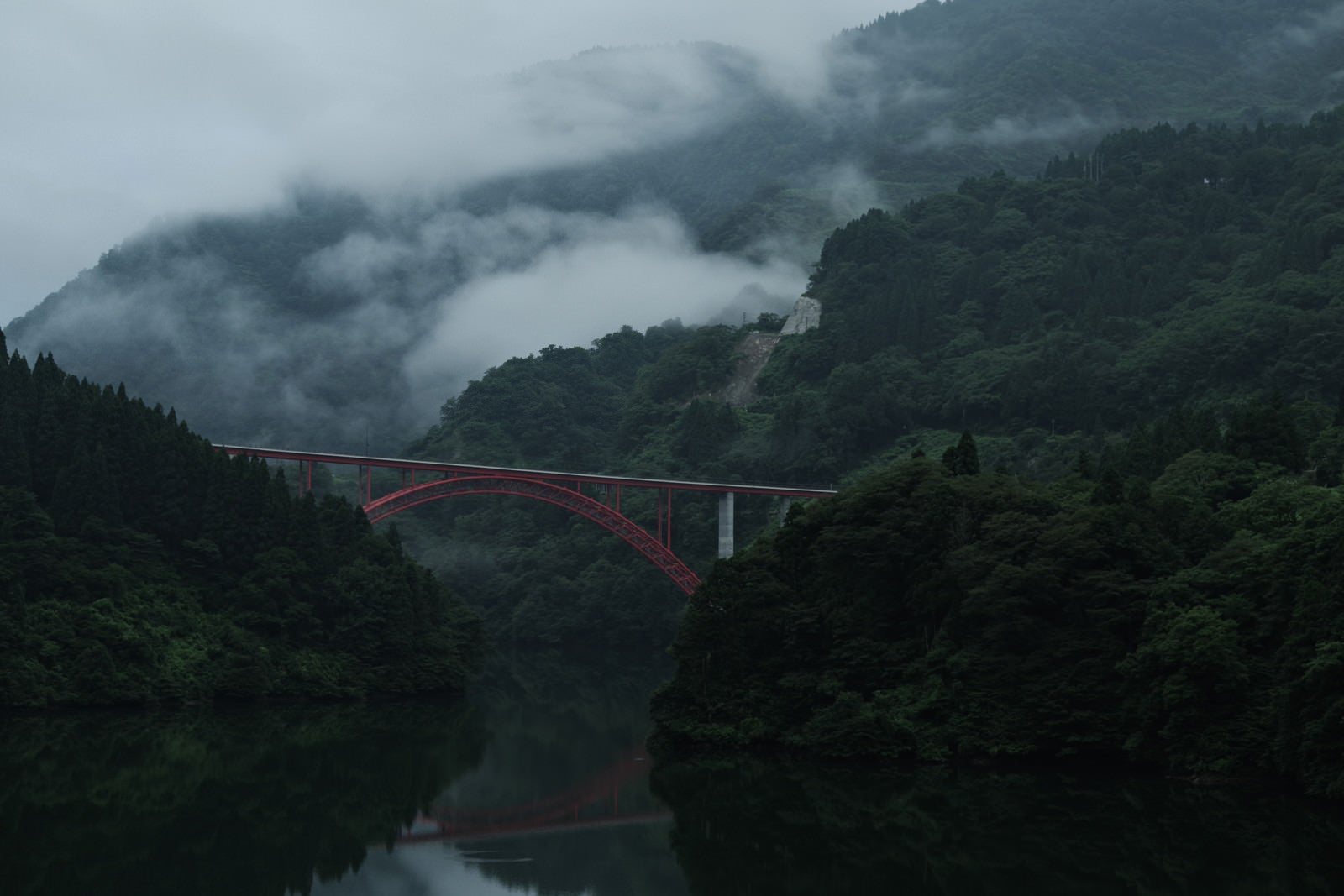 「霧が幻想的な庄川峡と利賀大橋」の写真