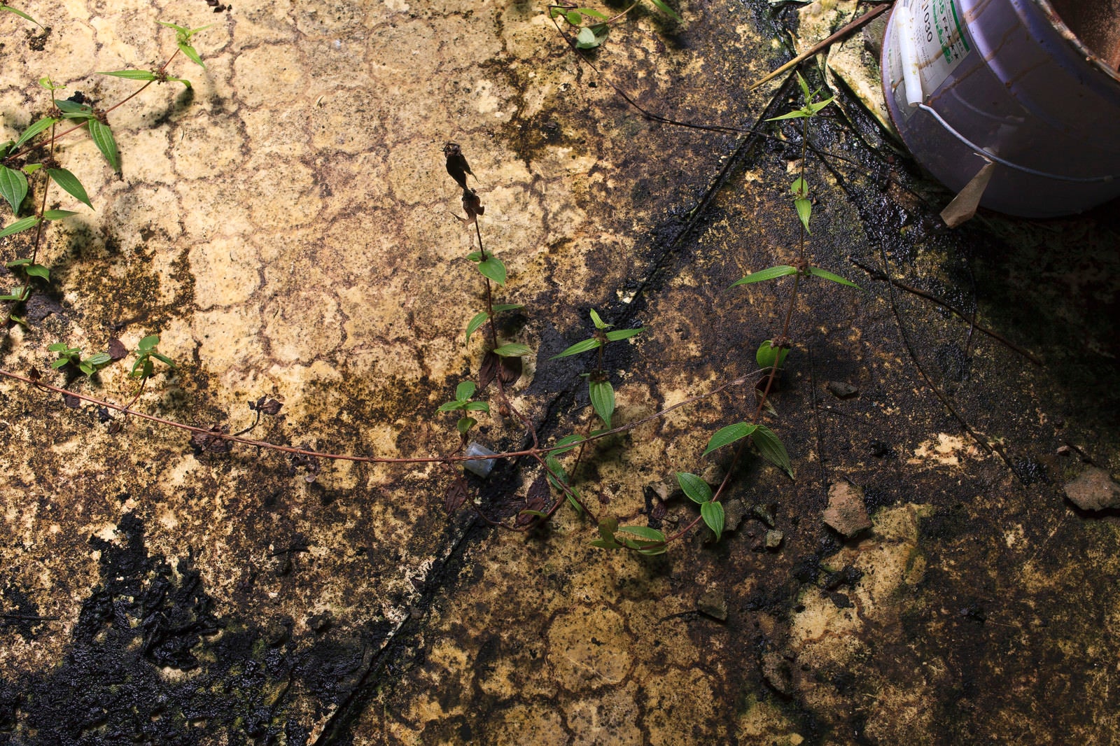 「土で汚れた廃墟の床」の写真