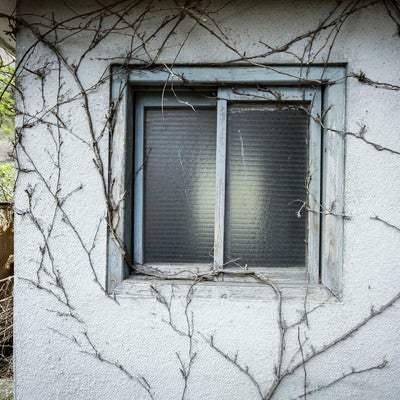 蔦と不気味な窓、ホラーっぽい建物の写真