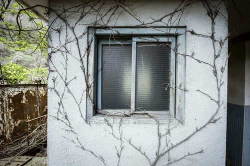 蔦と不気味な窓、ホラーっぽい建物の写真