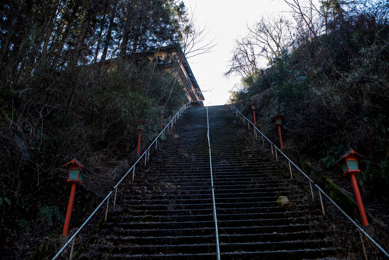 「荒れた階段」の写真