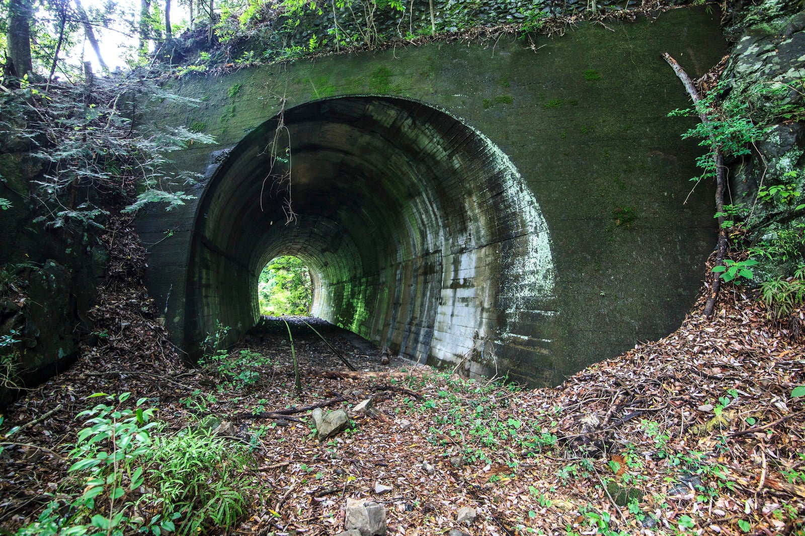 「山奥の廃線とトンネル」の写真