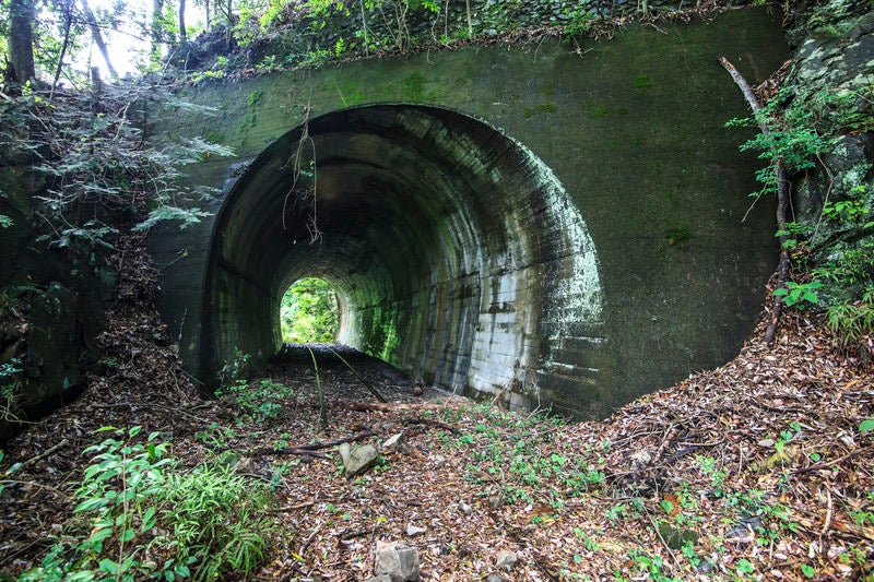 山奥の廃線とトンネルの写真