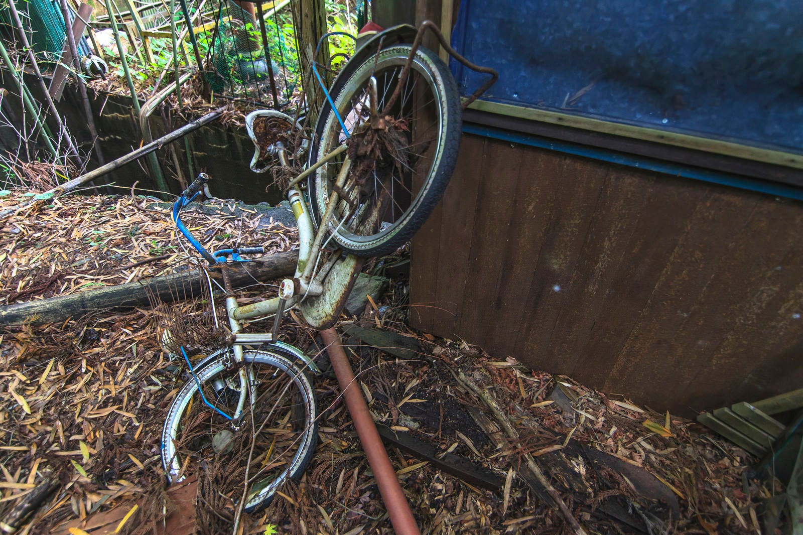 「廃墟にあった自転車」の写真