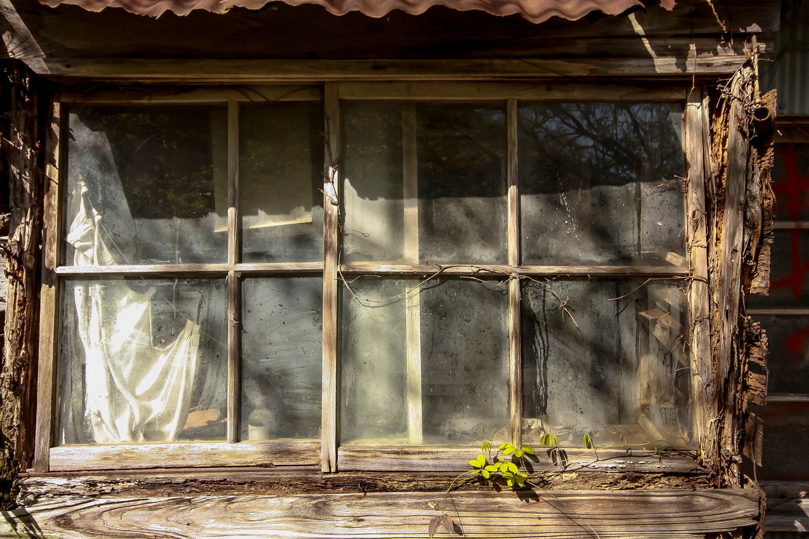 「木造の廃屋の窓」の写真