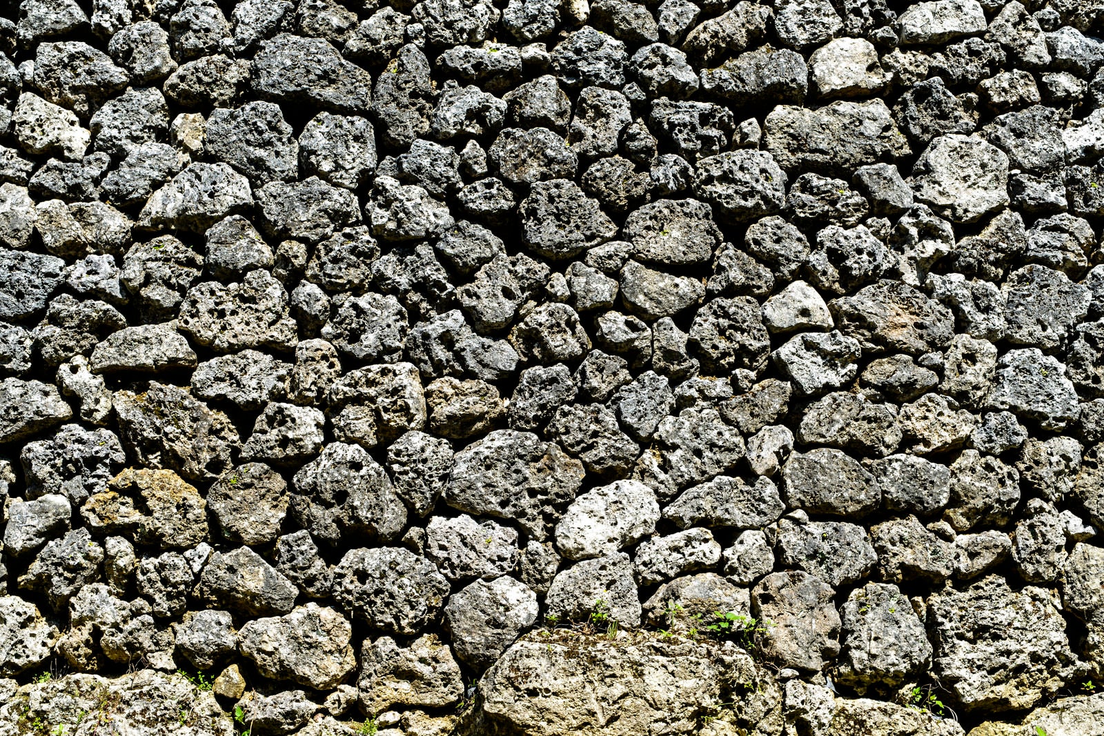 「沖縄の石垣」の写真
