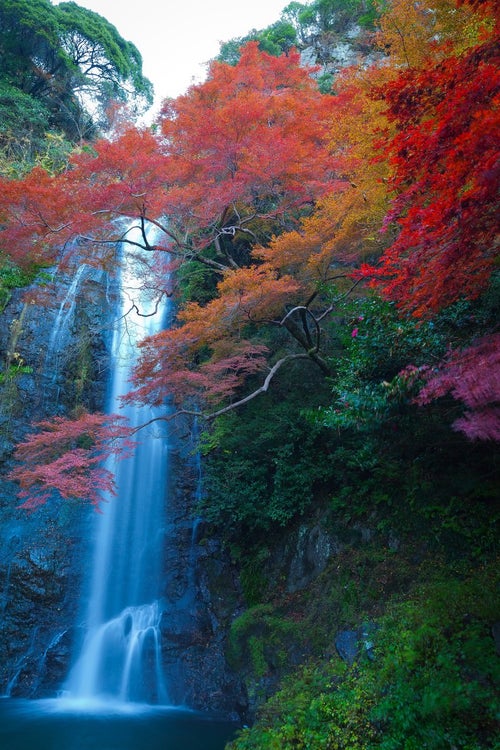 渓流の滝と黄葉の季節の写真