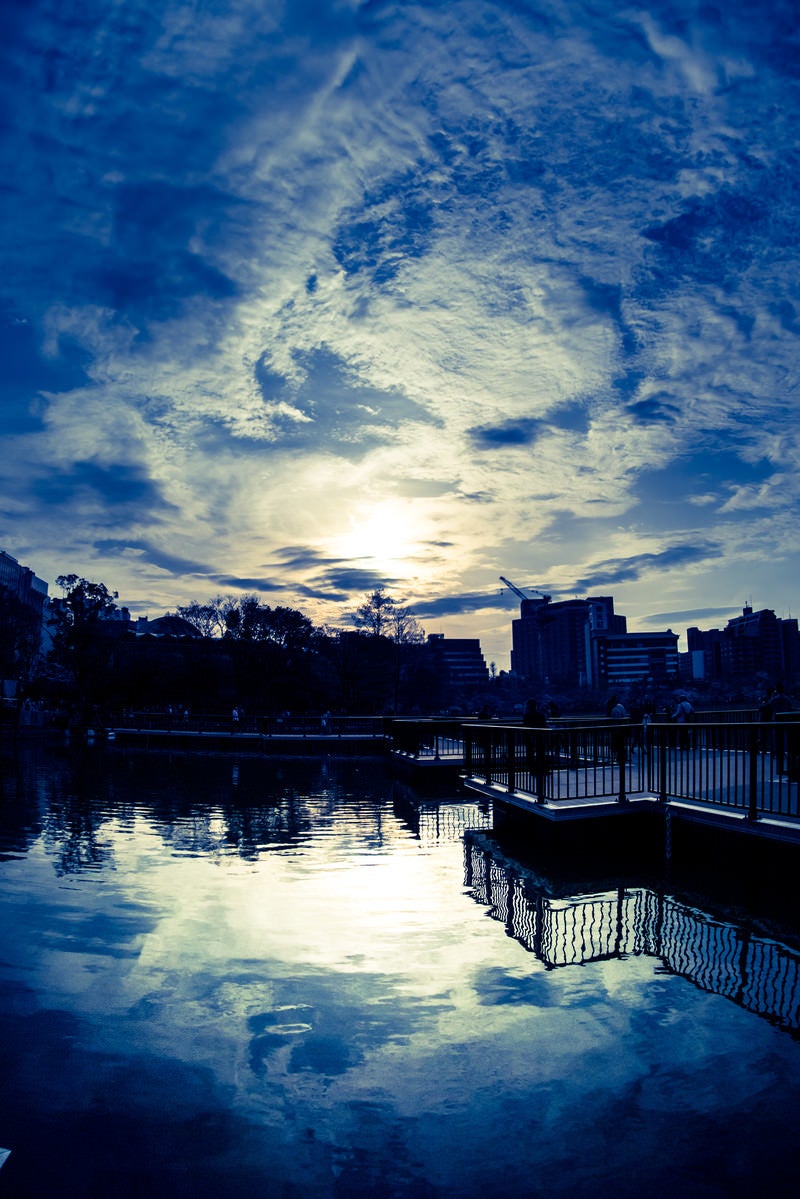 「公園の池に映る街並みと空の風景」の写真