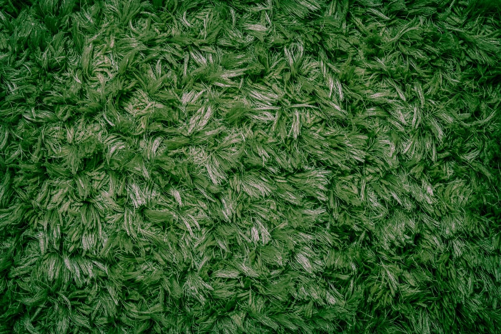 「芝生色の絨毯」の写真
