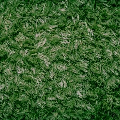 芝生色の絨毯の写真