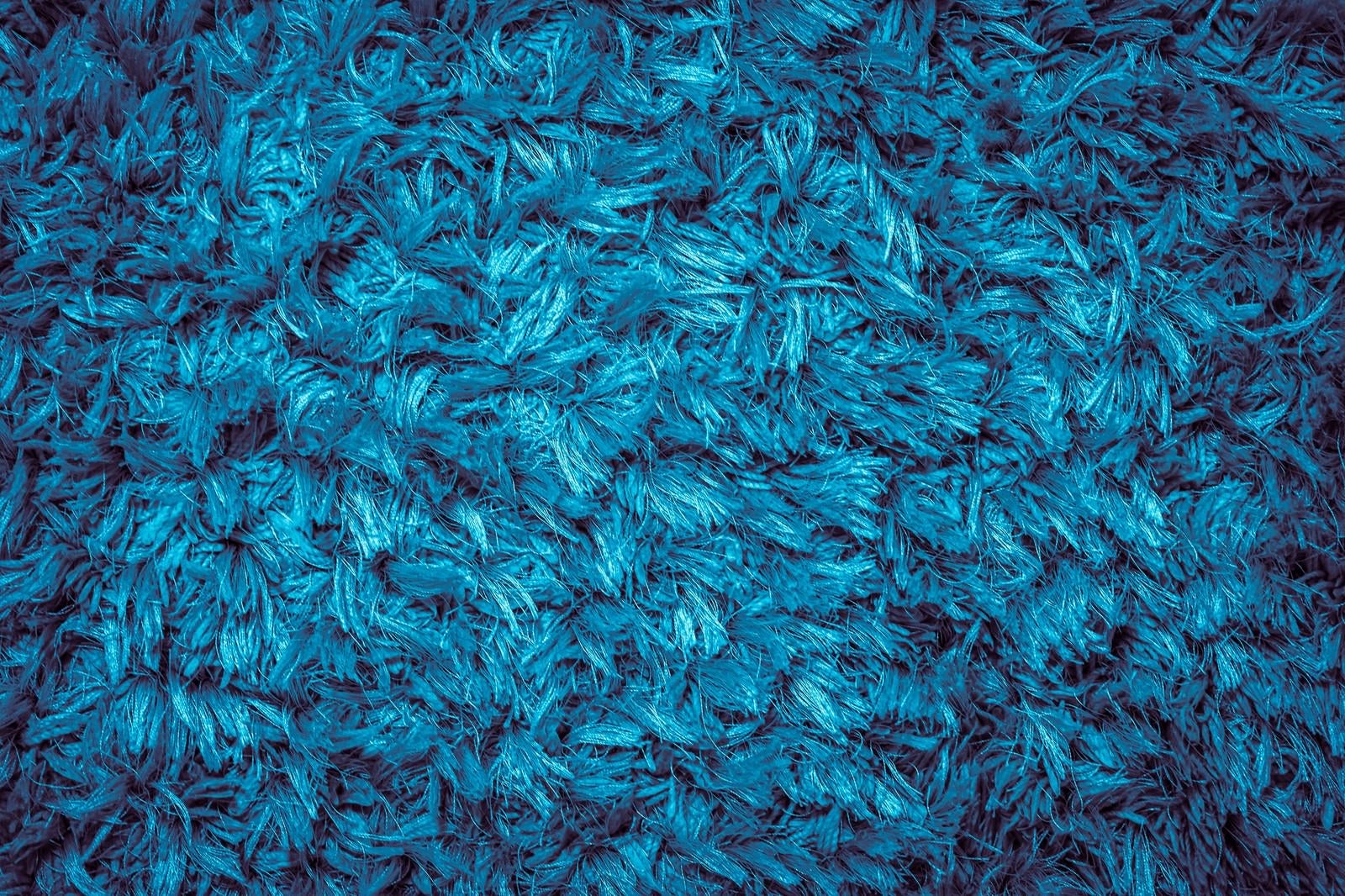 「青い絨毯（テクスチャ）」の写真