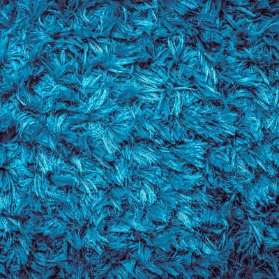 青い絨毯（テクスチャ）の写真