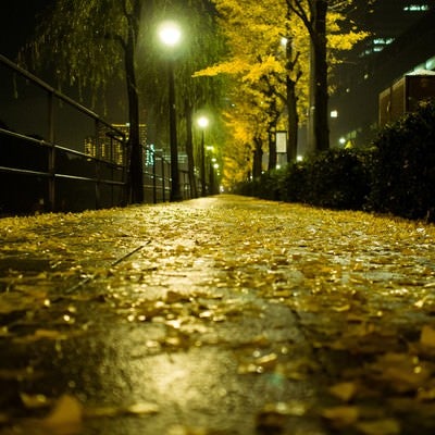 銀杏並木と落葉（夜間）の写真