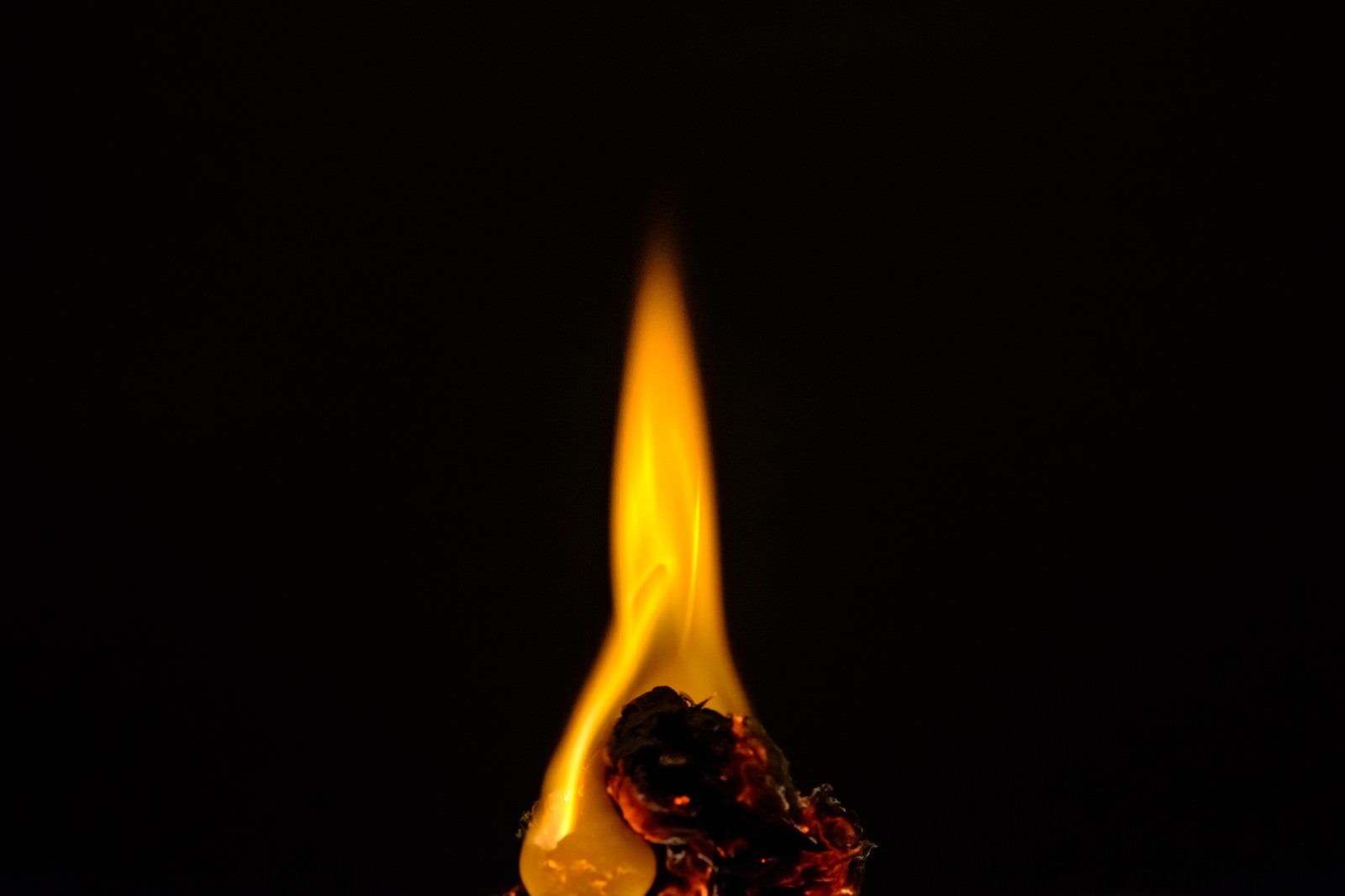 「小さく燃える」の写真