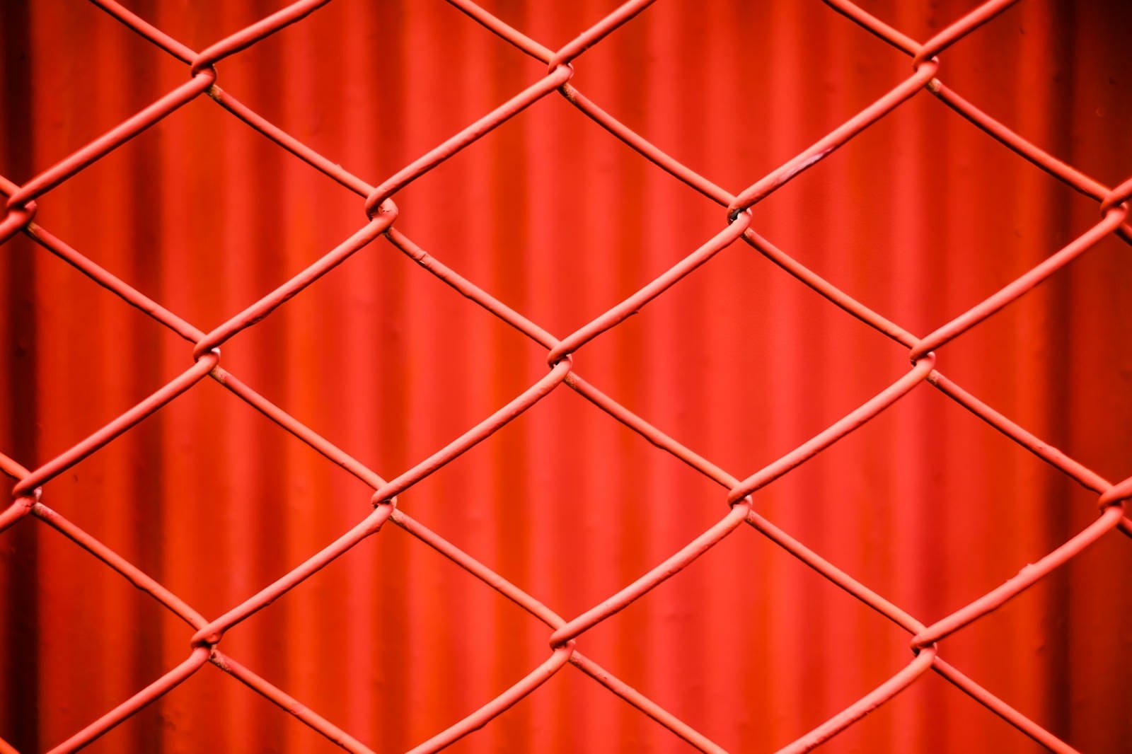 「赤いネットフェンス」の写真