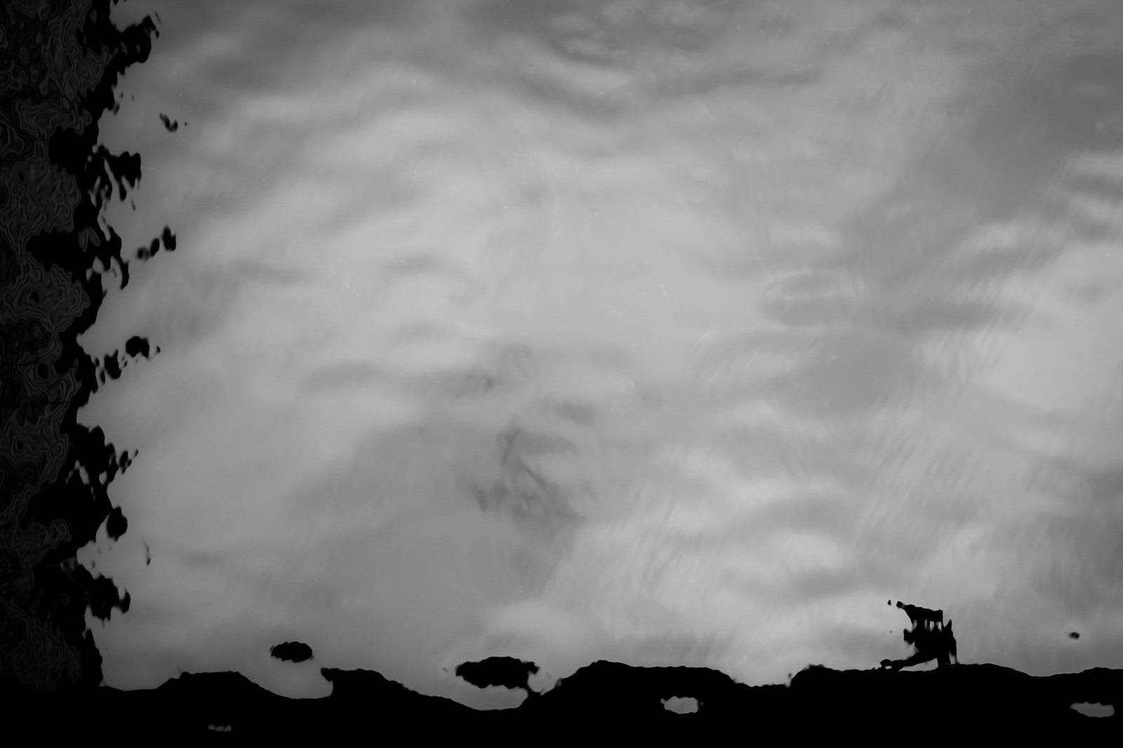 「水面にうつる曇」の写真