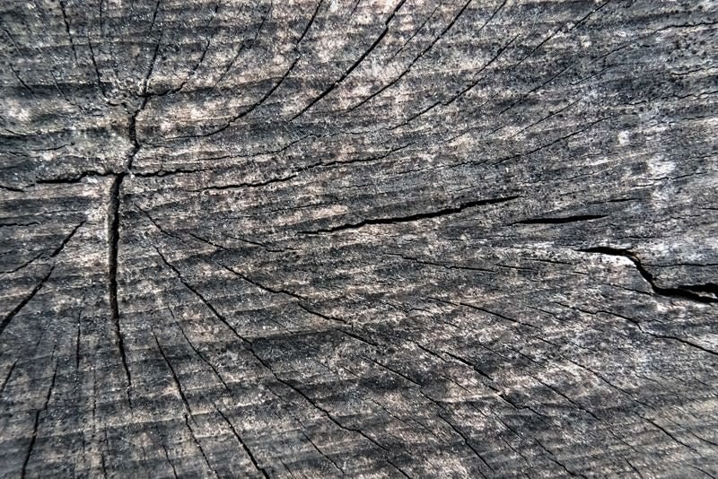 乾燥割れた木材の表面（テクスチャ）の写真