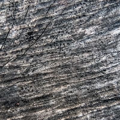 黒く変色した木材の写真